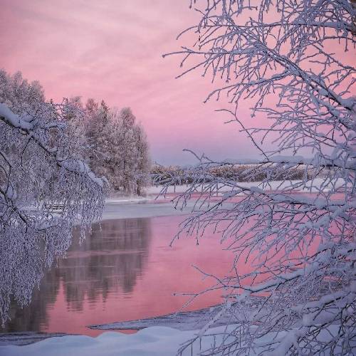 حمیدرضا بی وفا 2